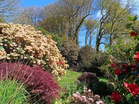 A garden with various flowers and trees at The Patio Flat in Bodmin Moor