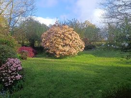 A garden with flowering bushes and trees at The Patio Flat in Bodmin Moor