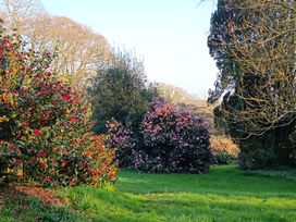 A garden with flowering bushes at The Patio Flat in Bodmin Moor