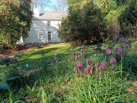 A garden with flowers and a white house at The Patio Flat in Bodmin Moor