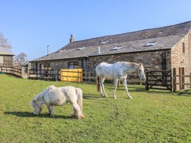 Stable View Cottage - Yorkshire Dales - 993312 - thumbnail photo 19