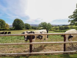 A field with cows near a wooden fence at Ty Berllan in Caersws