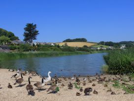 A riverbank with ducks and geese at Estuary View in Kingsbridge