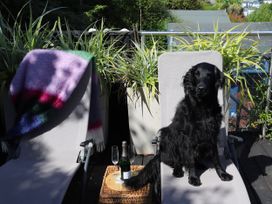 A dog sitting on a deck chair with glasses and a bottle at Dart Views in Dartmouth