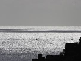 A sailboat on the sea near the shoreline at Dart Views Dartmouth