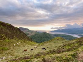 Tan Y Fedwen - North Wales - 996506 - thumbnail photo 32