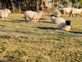 Taigh Chailean - Scottish Highlands - 999089 - thumbnail photo 20