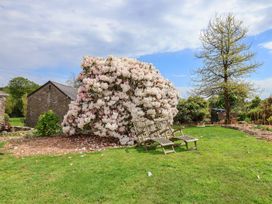 A garden with a flowering shrub and wooden chairs at Hook Cottage in Pelynt near Looe