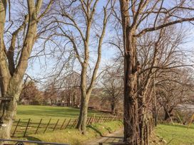 A narrow country road lined with leafless trees and metal fencing at Cymryd Uchaf in Conwy