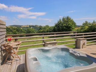 Brynlikky Cottage photo 1