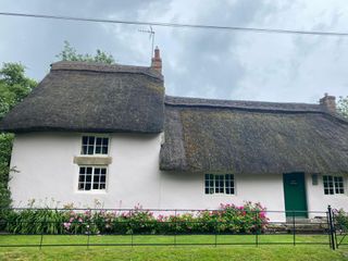 Holly Cottage photo 1