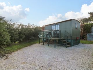 Packhorse Shepherd’s Hut photo 1
