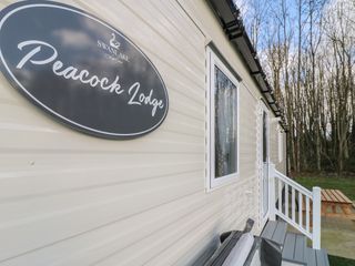 Peacock Lodge