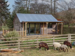 Beech Tree Cabin photo 1