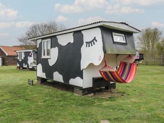 Dozy Dotty (Cow Shed 4) photo 1