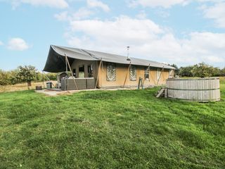 Pear Trees photo 1