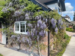 Curlew Cottage photo 1