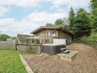The Cabin photo 1