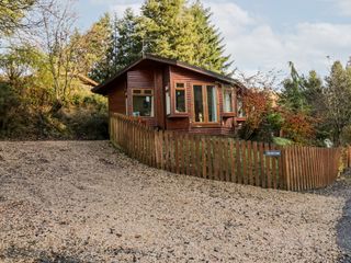 The Wee Lodge photo 1