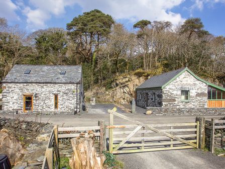 Dog friendly places to stay hot sale in snowdonia