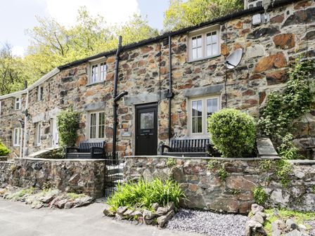 Dog friendly places to stay hot sale in snowdonia