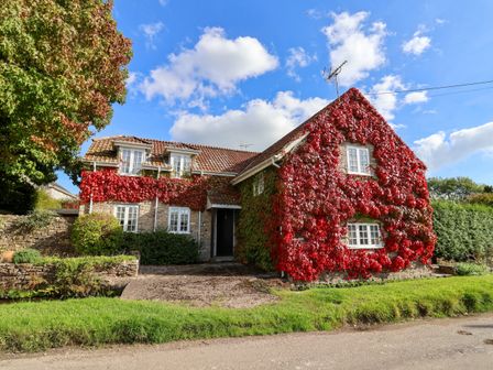 Dog fashion friendly cottage breaks