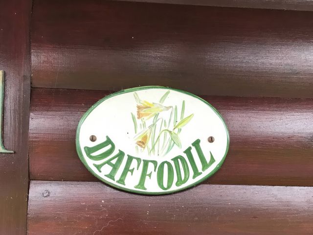Daffodil Lodge - 1000352 - photo 3