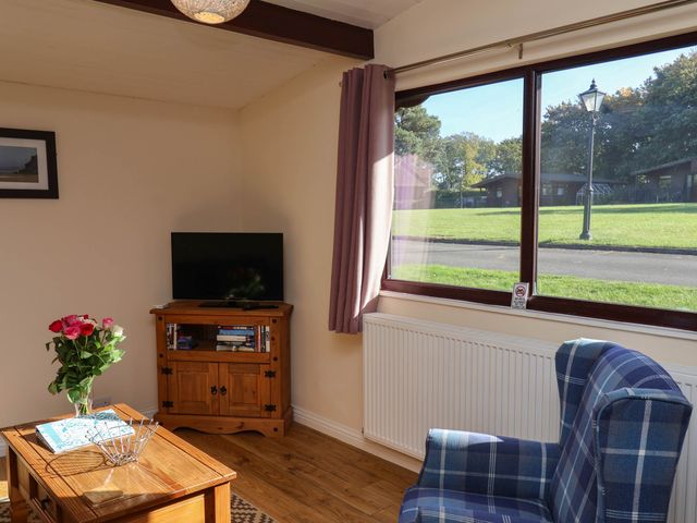 Orchid Lodge - 1000353 - photo 4