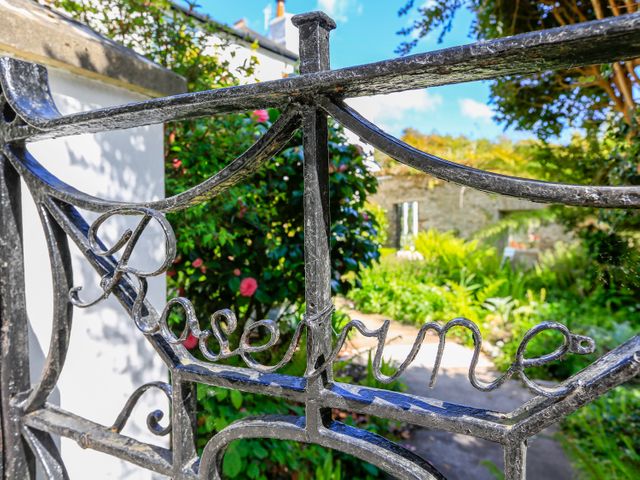 Rosevine - 1001102 - photo 3