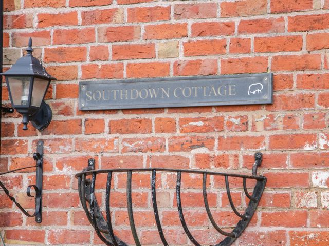 Southdown - 1001579 - photo 3
