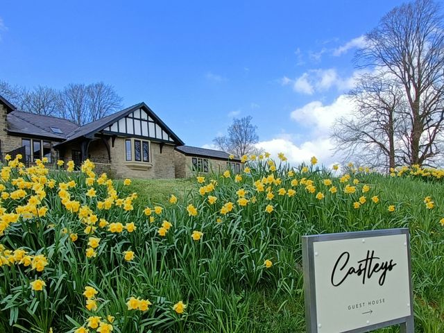 Castleys - 1002467 - photo 2