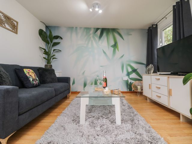 Palm Lodge - 1003556 - photo 4