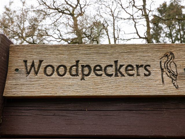 Woodpeckers - 1003669 - photo 4