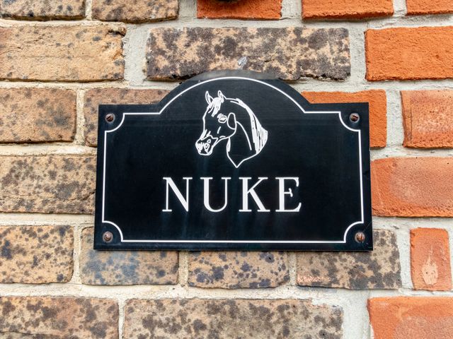 Nuke - 1005313 - photo 2
