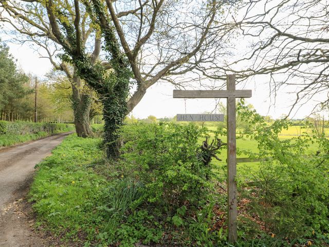 Hen House View - 1006989 - photo 4
