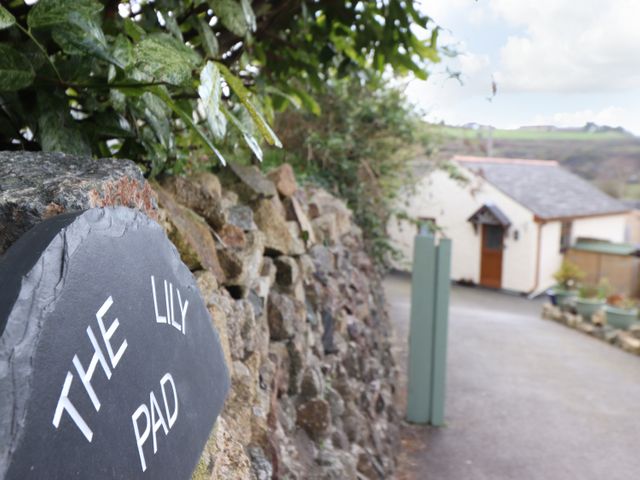 The Lily Pad - 1007123 - photo 2