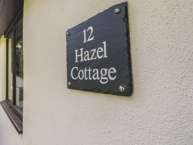 Hazel Cottage - 1007510 - photo 3