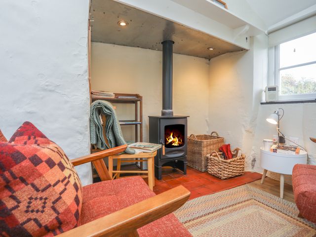Ffrwd Cottage - 1008824 - photo 4