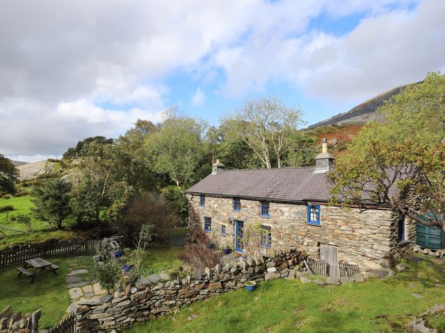 Llwyn Bedw - 1008903 - photo 4