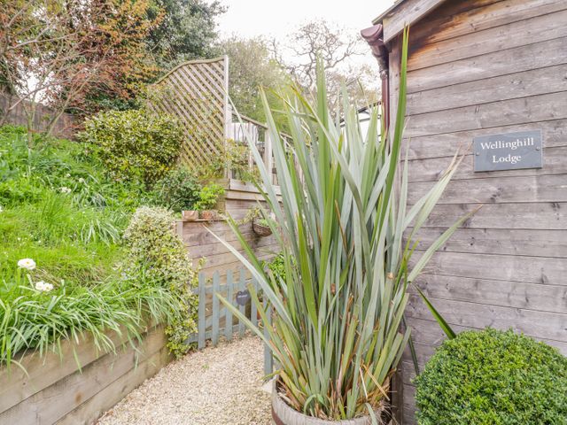 Wellinghill Lodge - 1010167 - photo 3