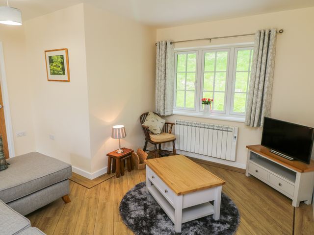 Ryedale Country Lodges - Willow Lodge - 1011653 - photo 4