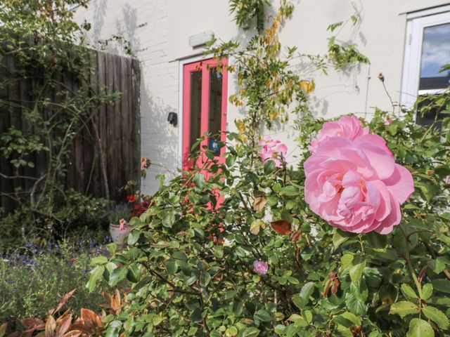 A garden with a rose bush and a pink door at Over Village Studio in Over