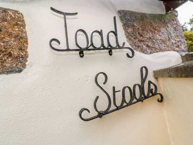 Toadstools - 1013212 - photo 4