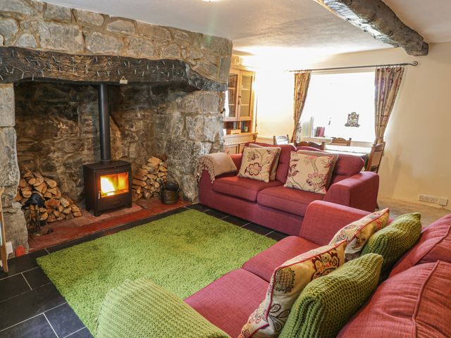 Plas Arenig - 1015430 - photo 3