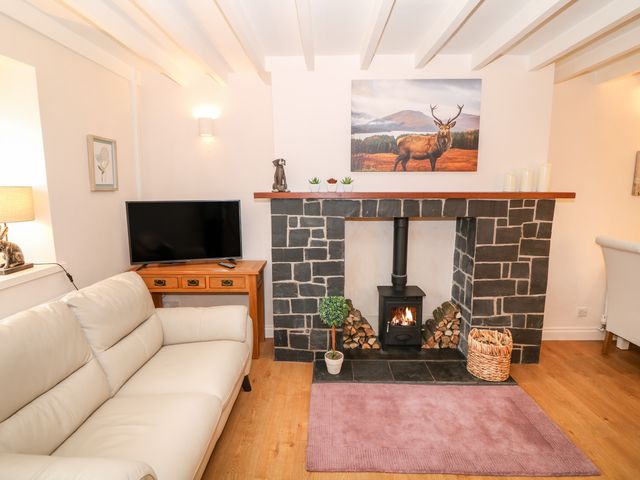 Bwthyn Y Cwm - 1016572 - photo 5