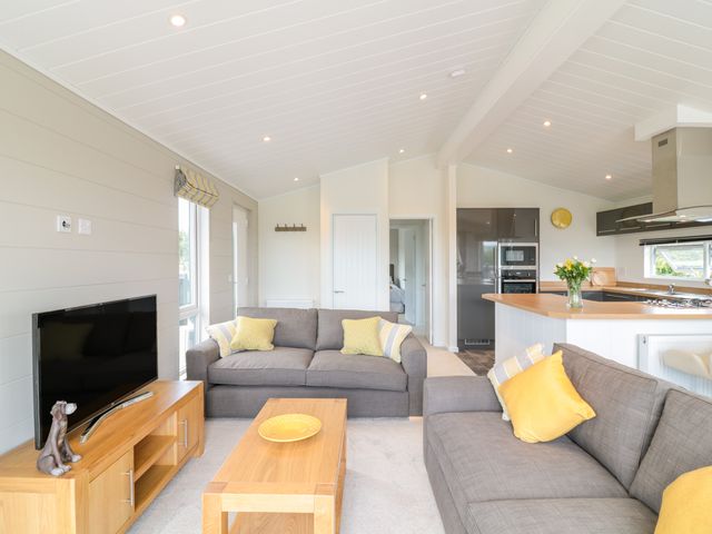 Birch Lodge - 1017325 - photo 3