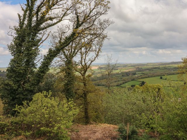 Scenic Views - 1019551 - photo 2