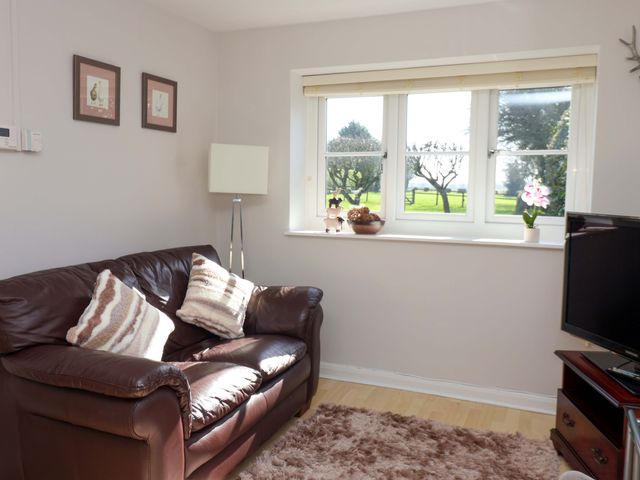 Cartwheel Cottage - 1022390 - photo 4