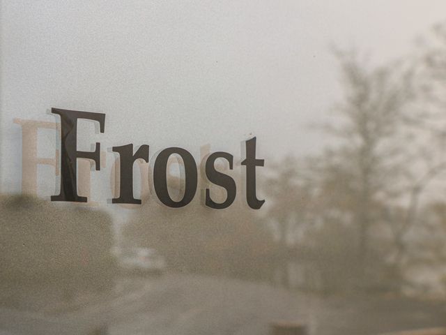 Frost - 1024709 - photo 3