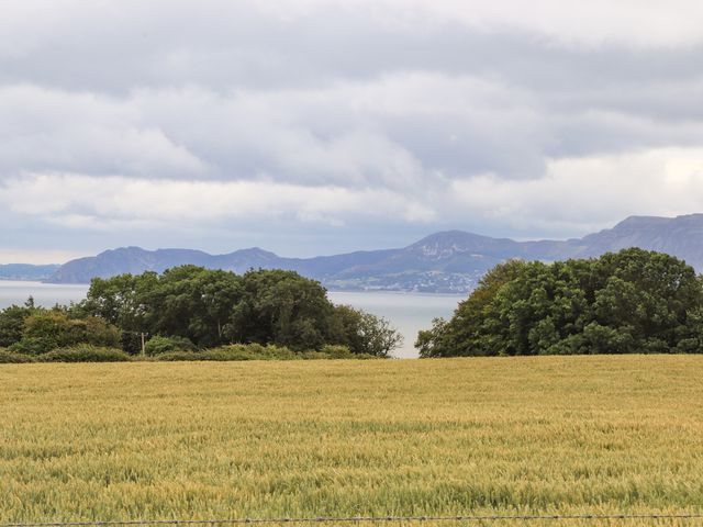 Bwthyn Cae Haidd - 1024745 - photo 4